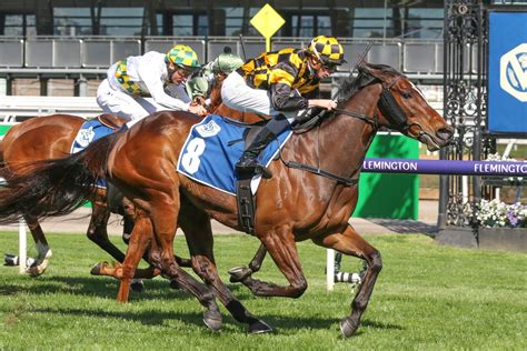 rose of tralee betting ladbrokes|2023 Rose Of Kingston Stakes I Odds & Tips I Ladbrokes.